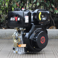 BIOSN (China) BS192FE ELECTRAL START DIESEL MOTOR